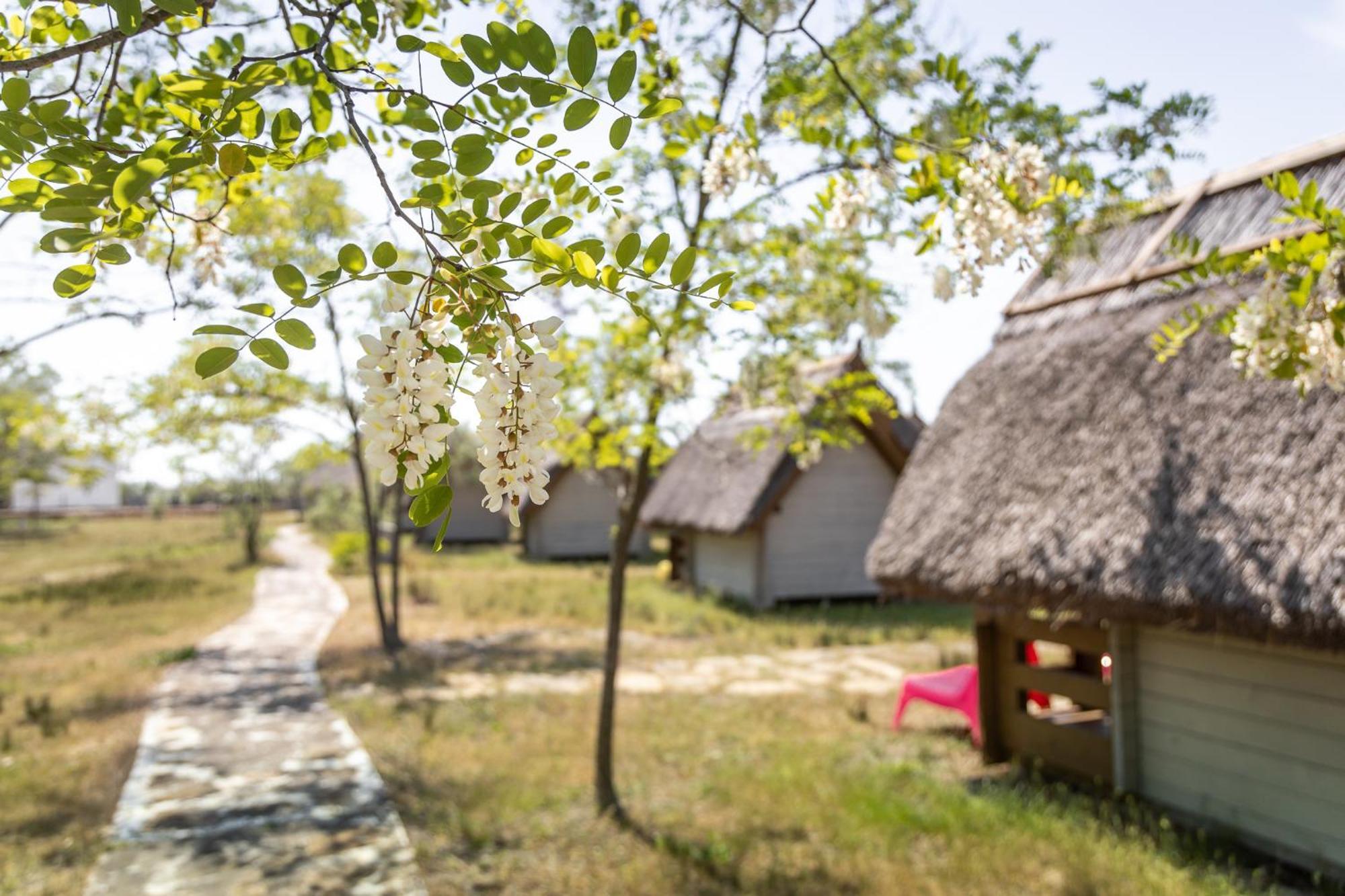 Dolphin Camping Sfântu Gheorghe Buitenkant foto