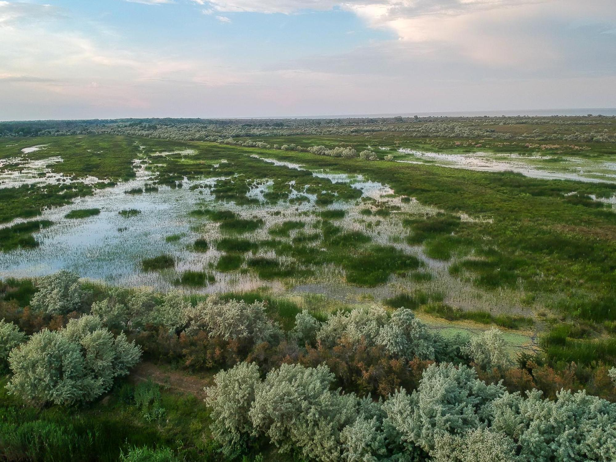 Dolphin Camping Sfântu Gheorghe Buitenkant foto